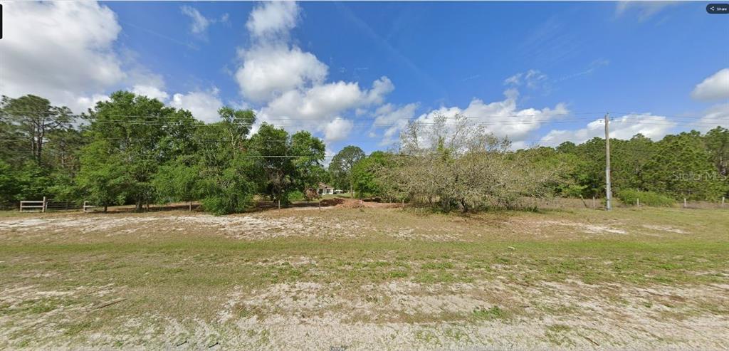 A vacant, grassy lot with scattered trees and a utility pole under a blue sky — COMMONWEALTH AVENUE N, POLK CITY, FL