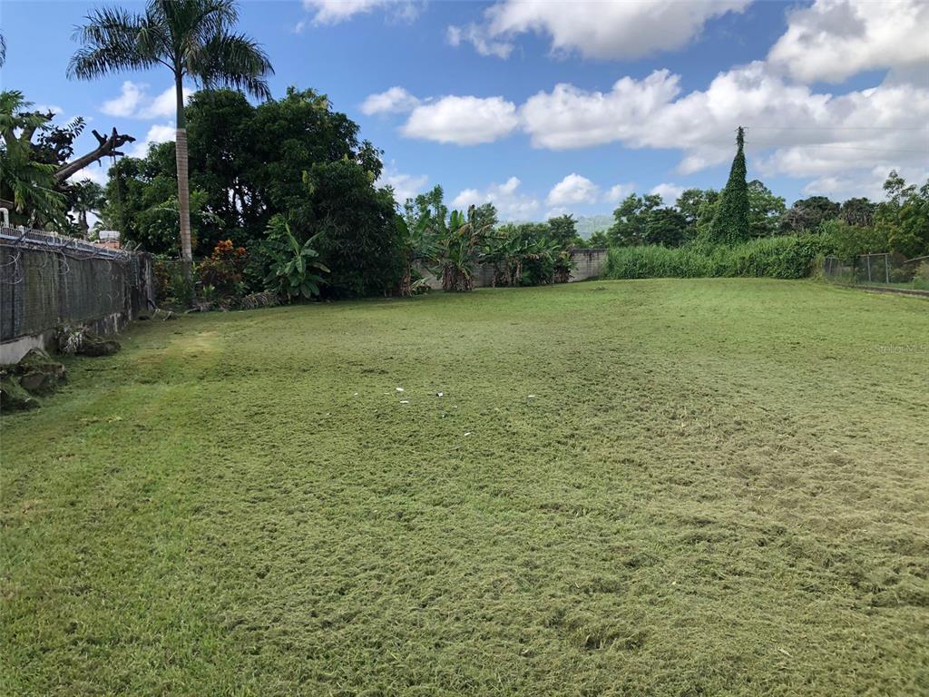 A large, mowed grassy lot features a palm tree and a fence along the side — URB. TERALINDA CALLE TOLEDO UNIT #6, CAGUAS, PR