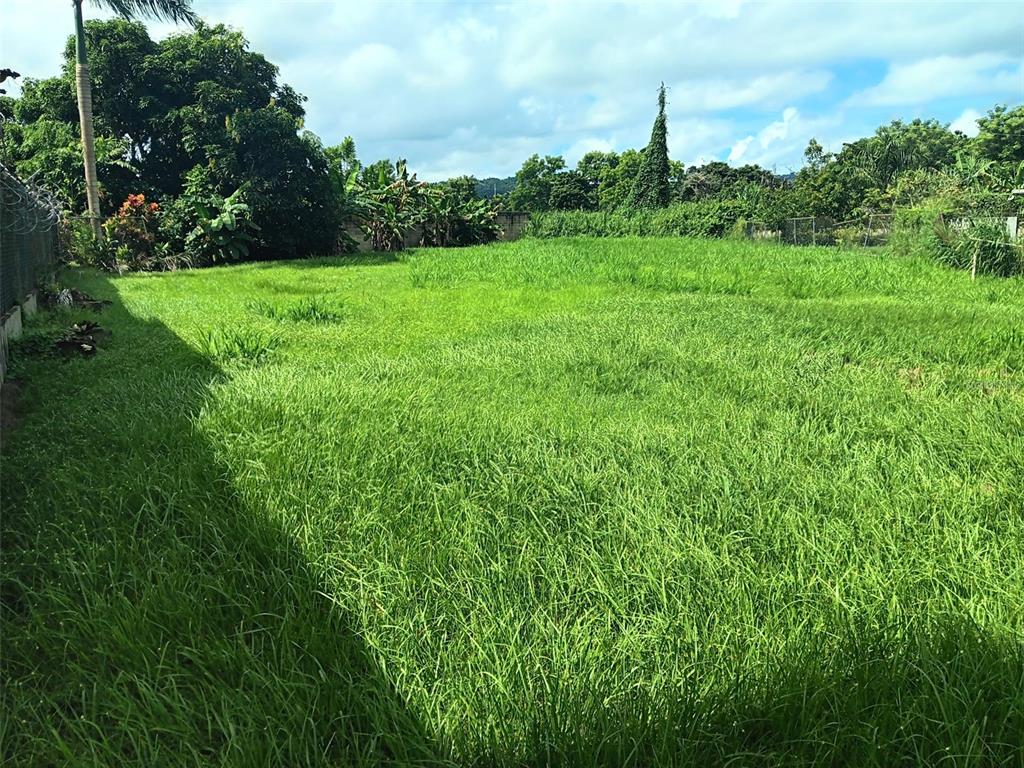 A large, grassy, undeveloped lot is surrounded by trees and a perimeter fence — URB. TERALINDA CALLE TOLEDO UNIT #6, CAGUAS, PR
