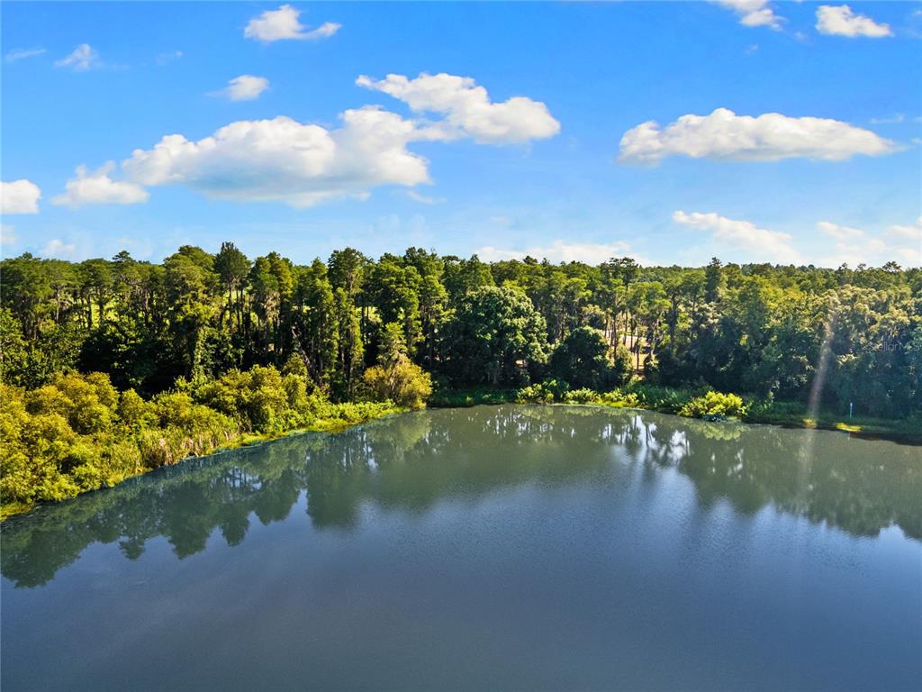 An aerial view shows a lake surrounded by trees near a road at sunset — 18150 BURRELL ROAD, ODESSA, FL