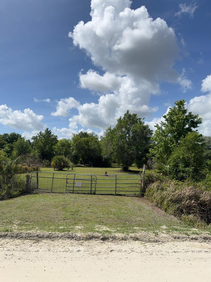 A metal gate provides access to a grassy, tree-lined lot under a bright blue sky — 19636 NW 272nd Street, Okeechobee FL 34972, OKEECHOBEE, FL