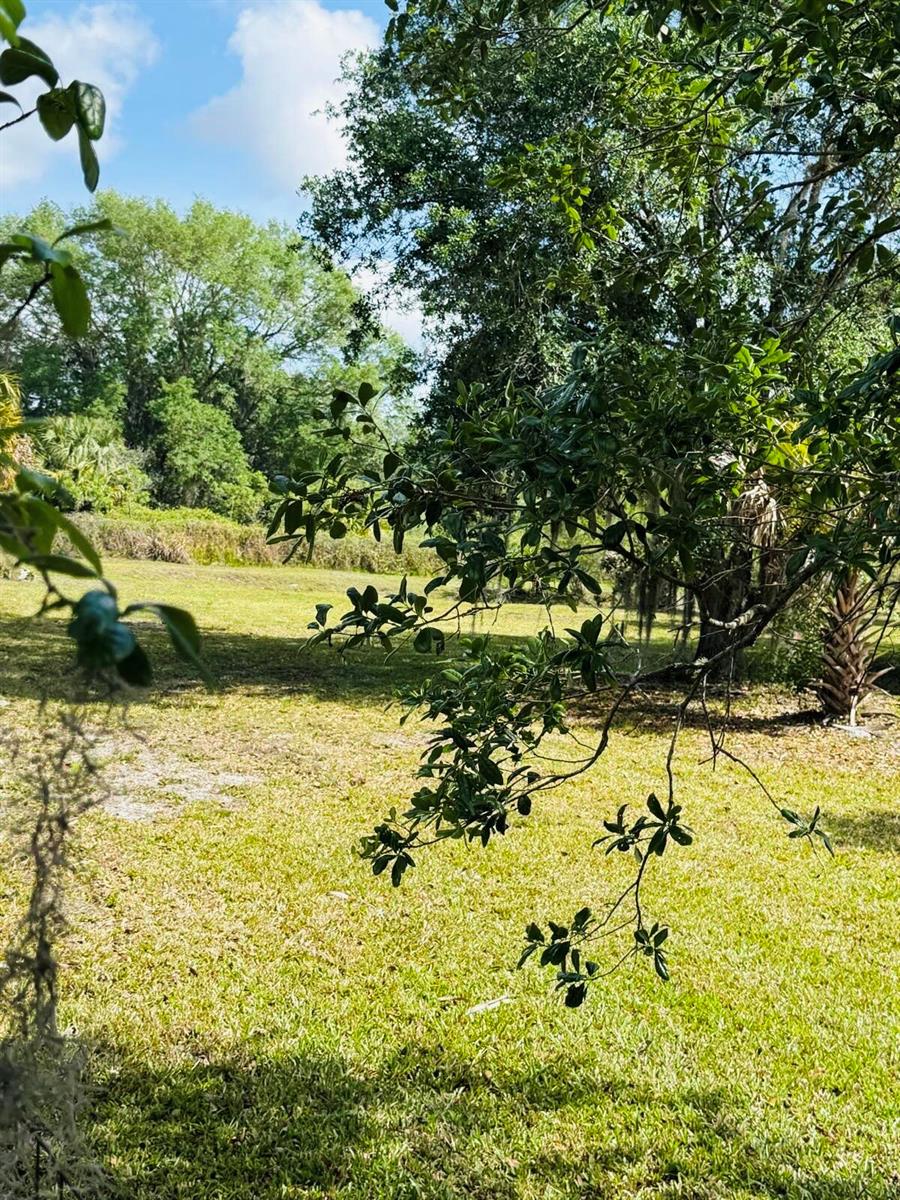 A grassy backyard features a large tree with overhanging branches and a wooded area beyond — 19636 NW 272nd Street, Okeechobee FL 34972, OKEECHOBEE, FL
