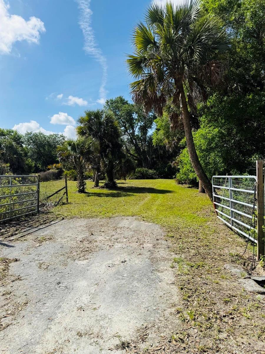 A gravel driveway leads through an open metal gate into a grassy, palm-filled wooded area — 19636 NW 272nd Street, Okeechobee FL 34972, OKEECHOBEE, FL