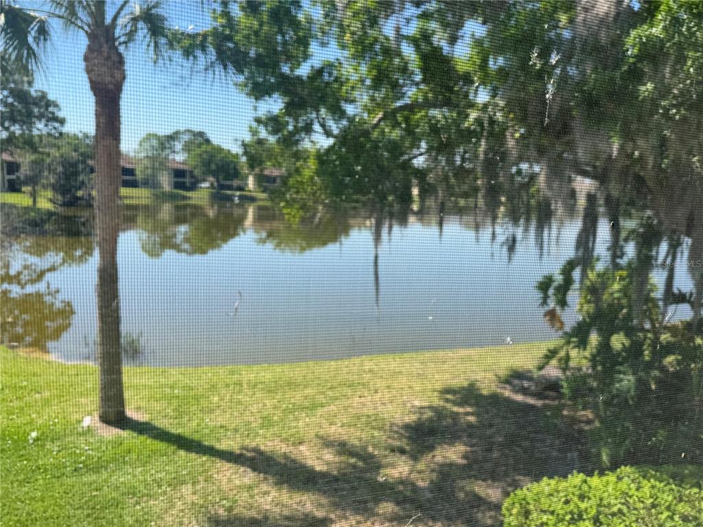 A view of a pond and trees seen through a screened-in porch — 212 CYPRESS LANE, OLDSMAR, FL