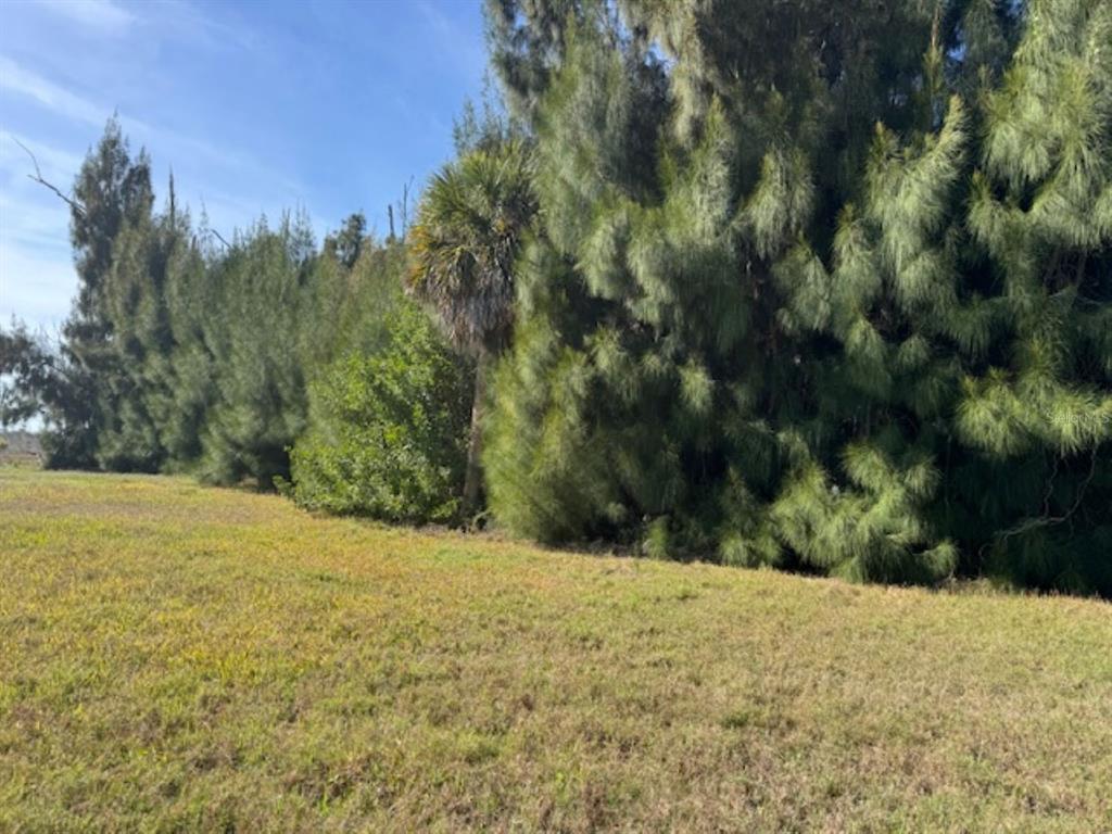 75 GREEN DOLPHIN DRIVE N, PLACIDA, FL — photo 3 of 9