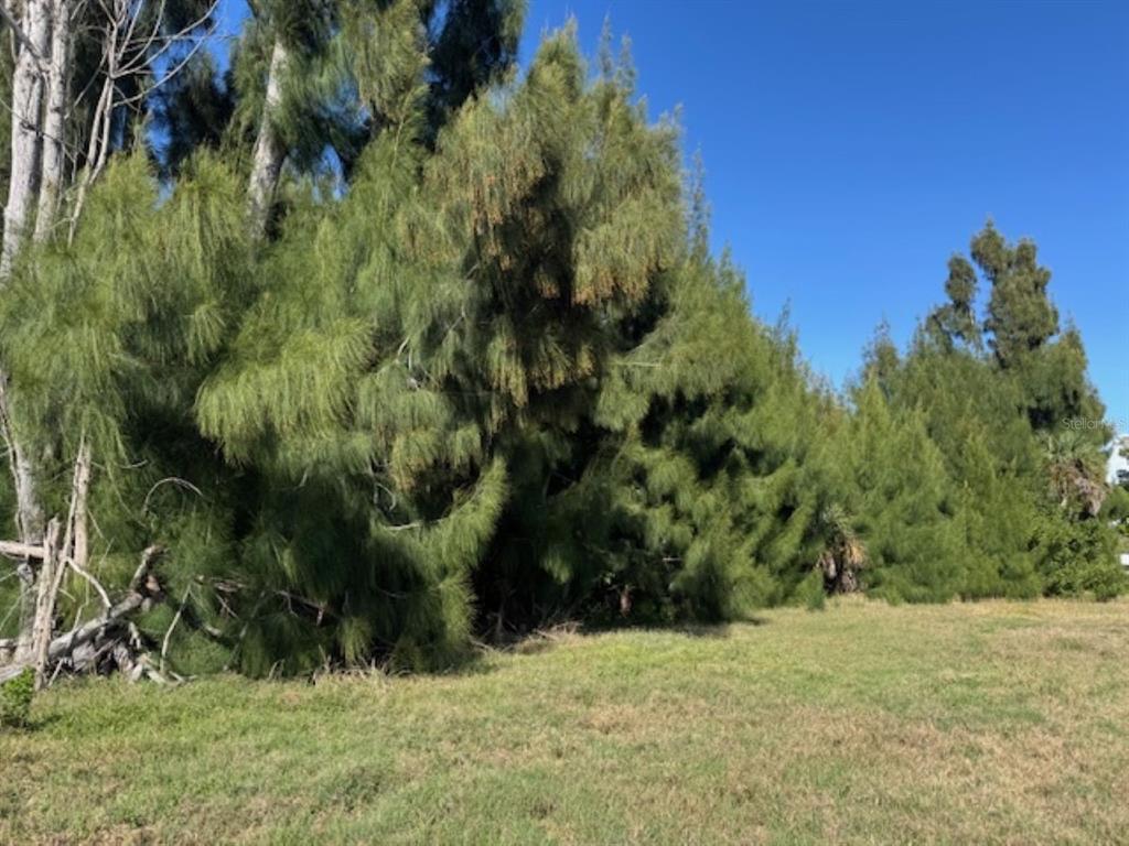 75 GREEN DOLPHIN DRIVE N, PLACIDA, FL — photo 4 of 9
