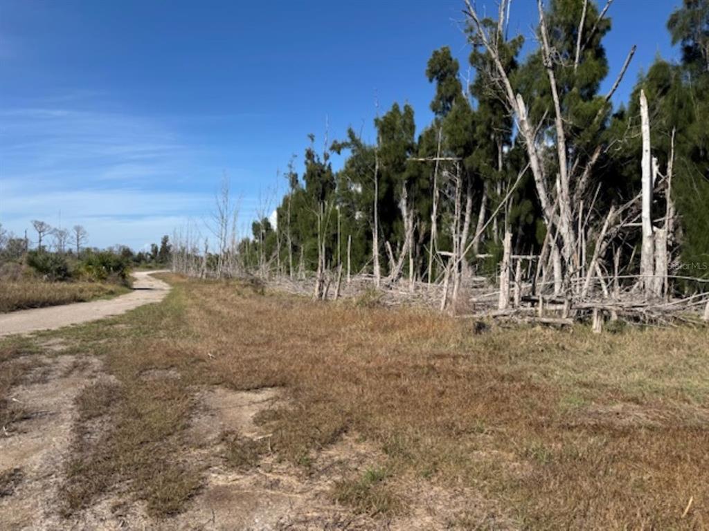 75 GREEN DOLPHIN DRIVE N, PLACIDA, FL — photo 5 of 9