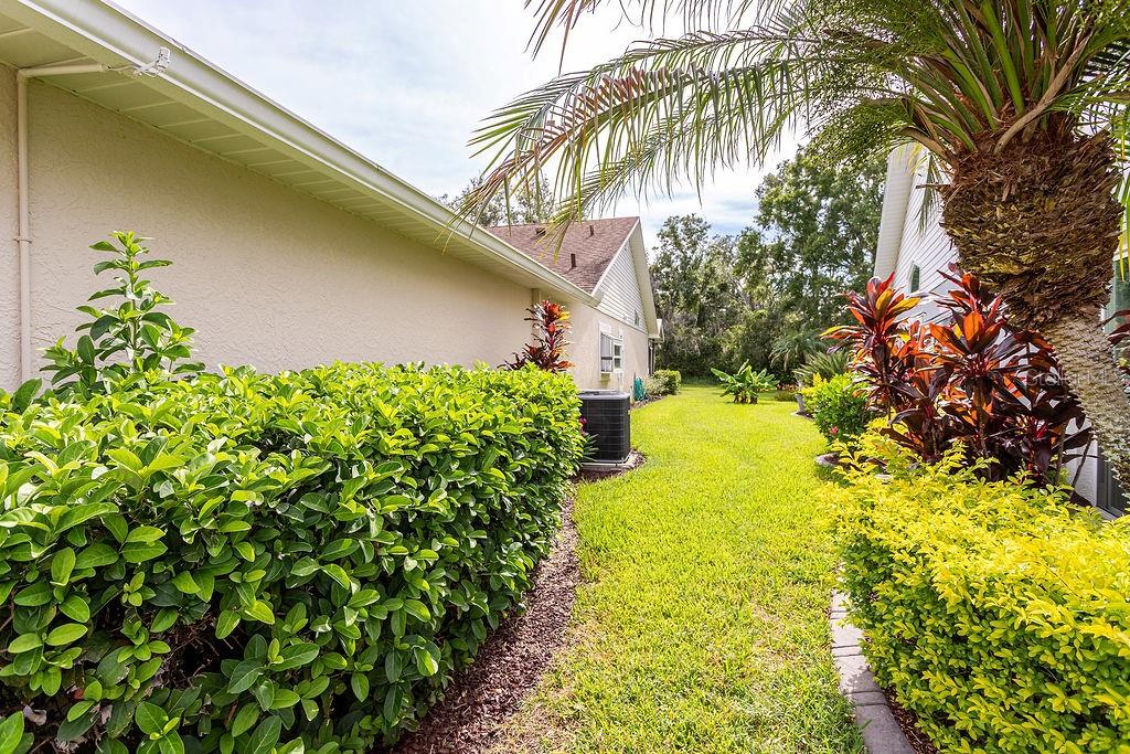 6431 GENTLE BEN CIRCLE, WESLEY CHAPEL, FL — photo 5 of 24