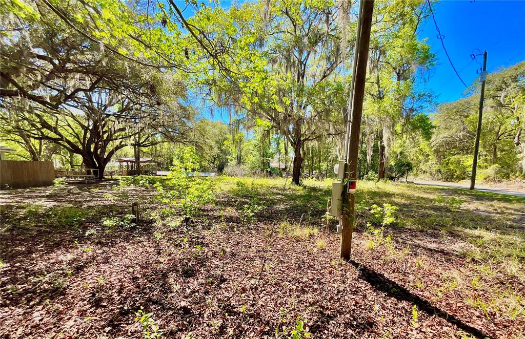 A wooded, undeveloped lot features large oak trees draped with Spanish moss and a utility pole — Lot 1 SE 16TH STREET, MELROSE, FL