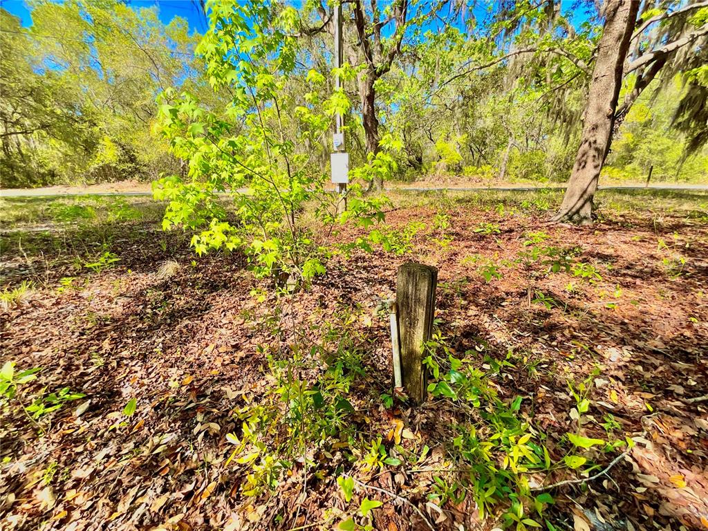 A wooden post with an outdoor spigot stands in a wooded lot with fallen leaves — Lot 1 SE 16TH STREET, MELROSE, FL