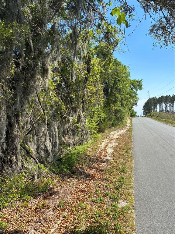 A paved road runs alongside a wooded area draped with Spanish moss — 298TH STREET, NEWBERRY, FL
