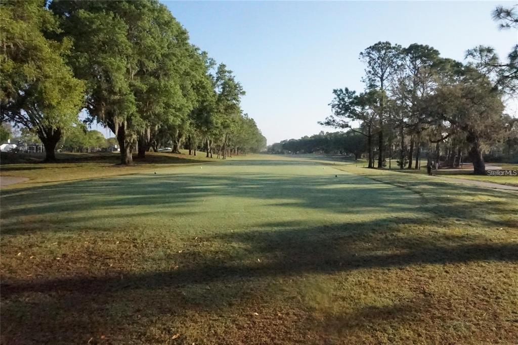 A view of a long, grassy golf course fairway lined with mature trees — 5316 COTTONWOOD TREE CIRCLE, VALRICO, FL