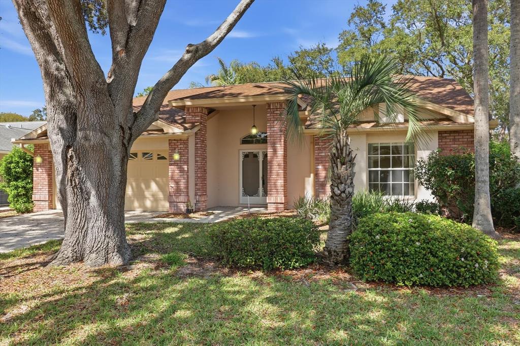 7361 ROSEMONT LANE