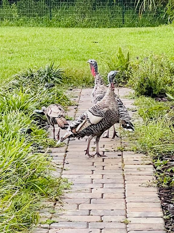 3551 RED BARN LANE, ORMOND BEACH, FL — photo 5 of 30