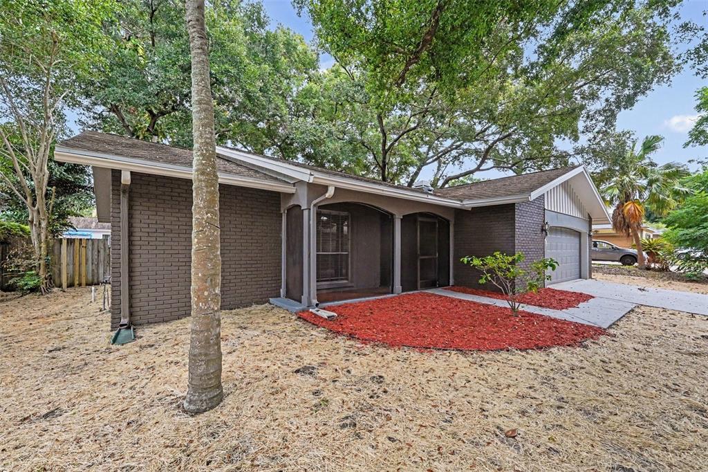 A single-story house with dark brick siding, a covered entryway, and a red mulch bed — 2431 GROVE RIDGE DRIVE, PALM HARBOR, FL