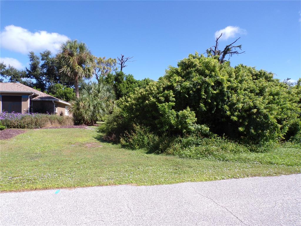 A grassy lot with a large bush and palm trees sits beside a residential house — 10152 WILLOWOOD AVENUE, ENGLEWOOD, FL