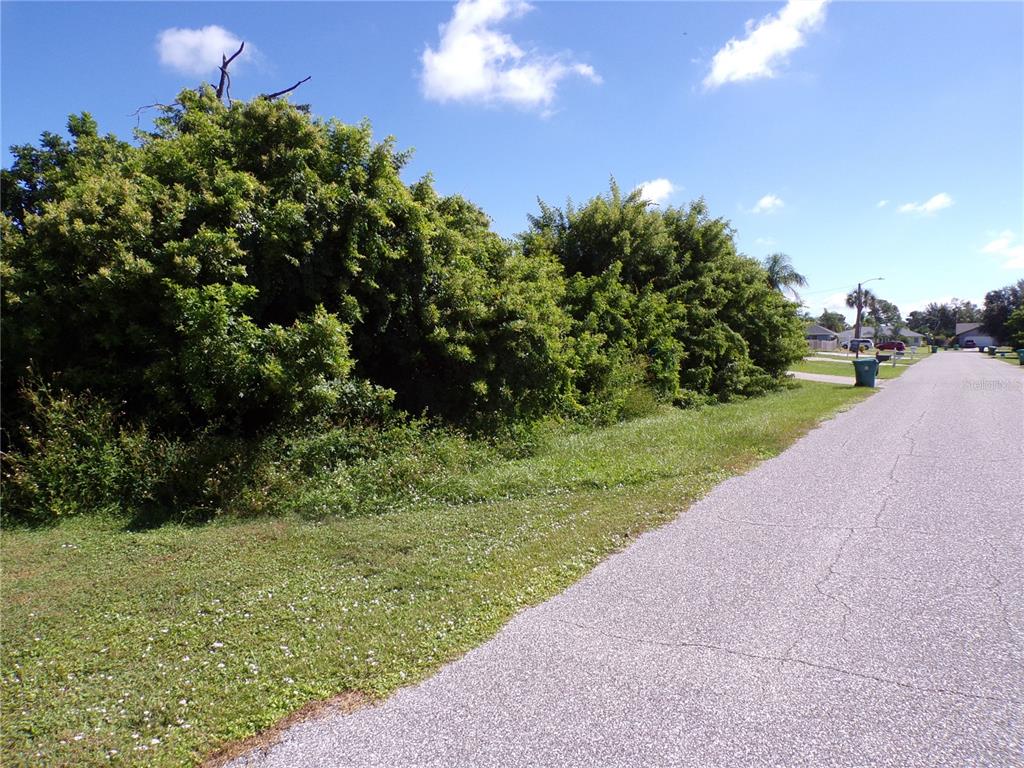 A paved road runs alongside a grassy lot filled with dense green trees and bushes — 10152 WILLOWOOD AVENUE, ENGLEWOOD, FL