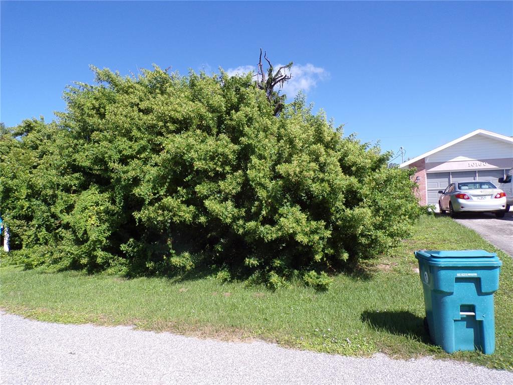 A large, dense green bush stands in a front yard next to a residential driveway — 10152 WILLOWOOD AVENUE, ENGLEWOOD, FL