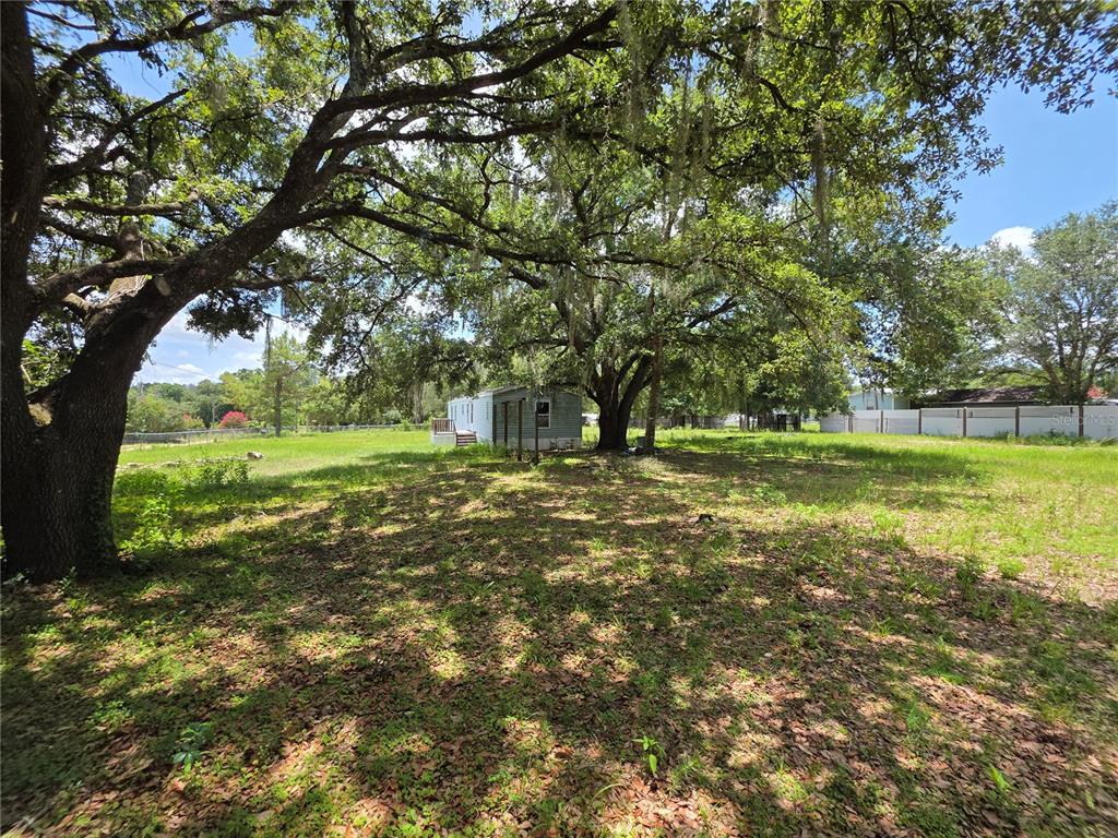 A large oak tree shades a grassy yard with a mobile home in the background — 8443 HAMSTER DRIVE, ZEPHYRHILLS, FL
