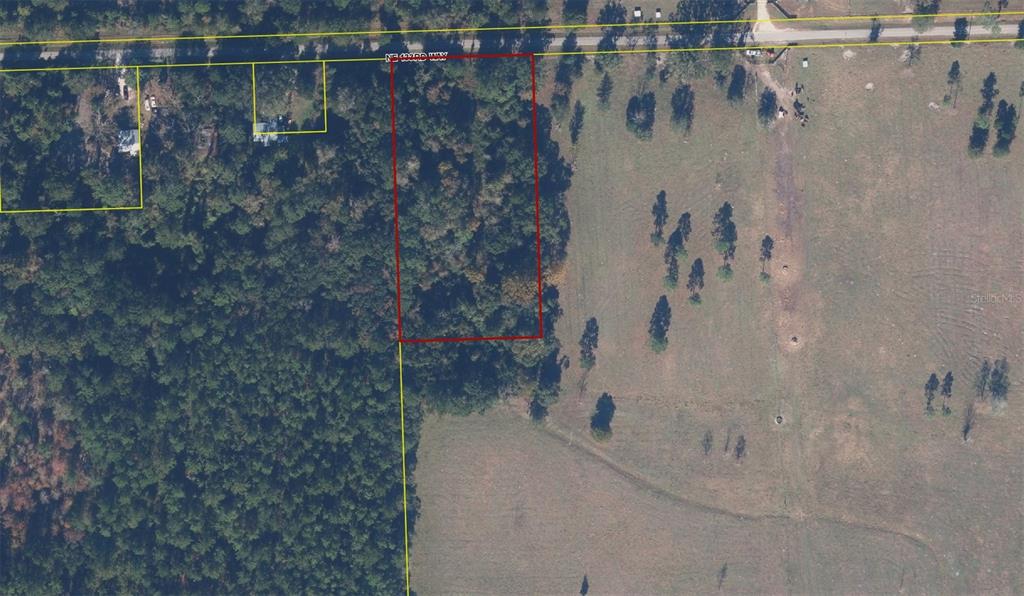 This aerial map shows a rectangular wooded lot outlined in red next to open pasture — NE 133RD WAY, RAIFORD, FL
