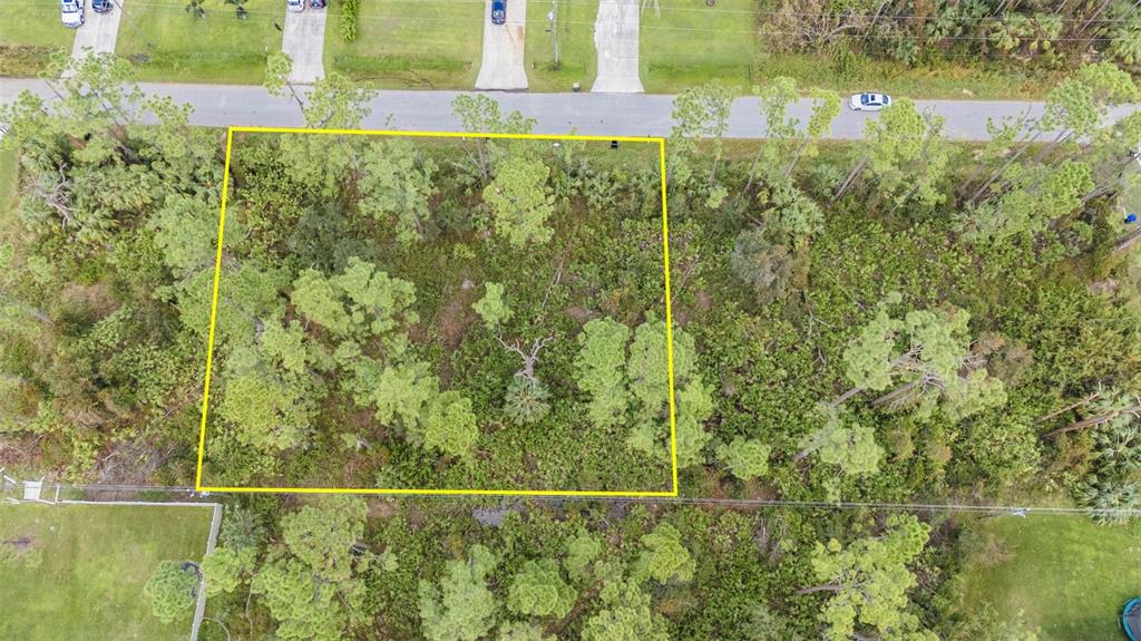 An aerial view shows a rectangular, tree-covered vacant lot outlined in yellow along a road — SUNBURST AVENUE, NORTH PORT, FL