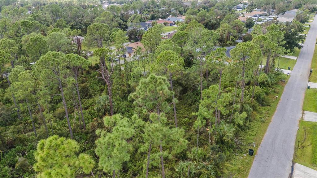 An aerial view shows a wooded, undeveloped residential lot next to a paved suburban street — SUNBURST AVENUE, NORTH PORT, FL