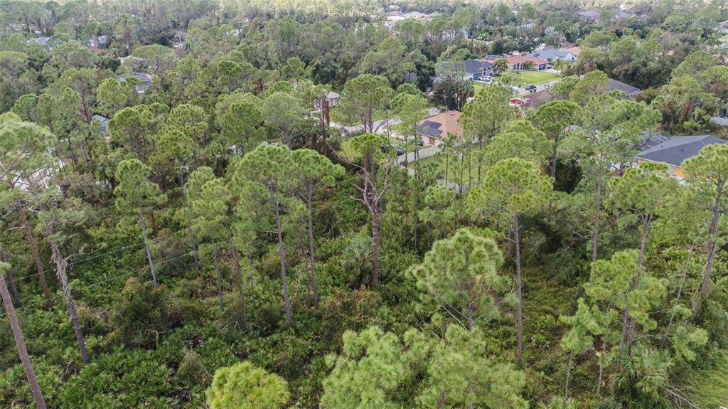 An aerial view shows a wooded lot surrounded by residential houses and suburban streets — SUNBURST AVENUE, NORTH PORT, FL