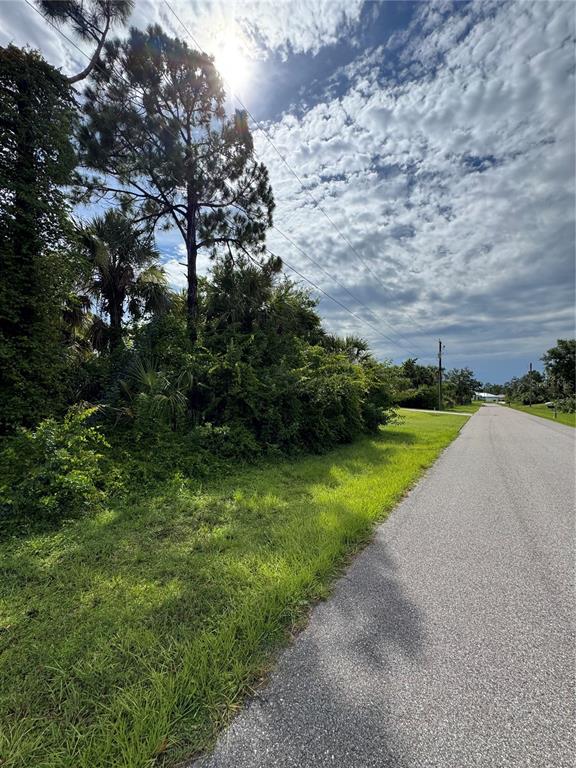 A view of a vacant, wooded lot from an adjacent paved road — 395 RAMBLEWOOD STREET, PORT CHARLOTTE, FL