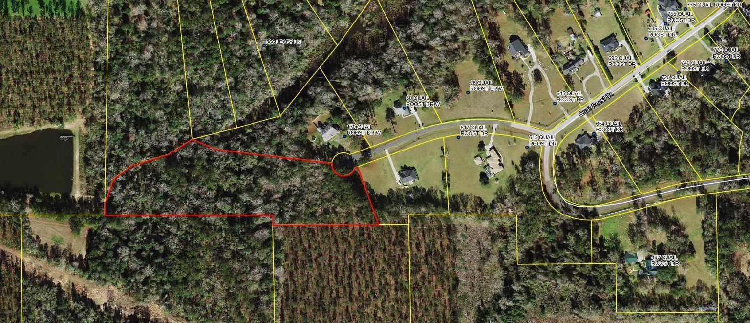 This is an aerial map showing a residential property lot outlined in red — Tbd W Quail Roost Drive, FL 32352, FL