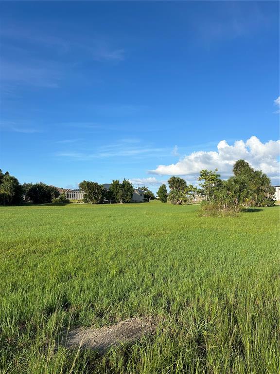 A large, grassy vacant lot under a blue sky with scattered trees and distant houses — 24163 COLIMA COURT, PUNTA GORDA, FL