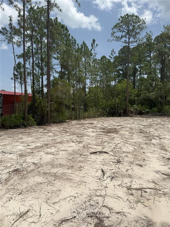 A cleared, sandy lot is bordered by a line of tall pine trees and a shed — 1573 LAUREL AVENUE, BUNNELL, FL