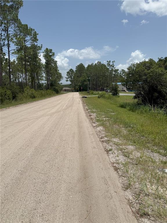 A dirt road stretches toward a distant intersection lined with trees and a house — 1573 LAUREL AVENUE, BUNNELL, FL