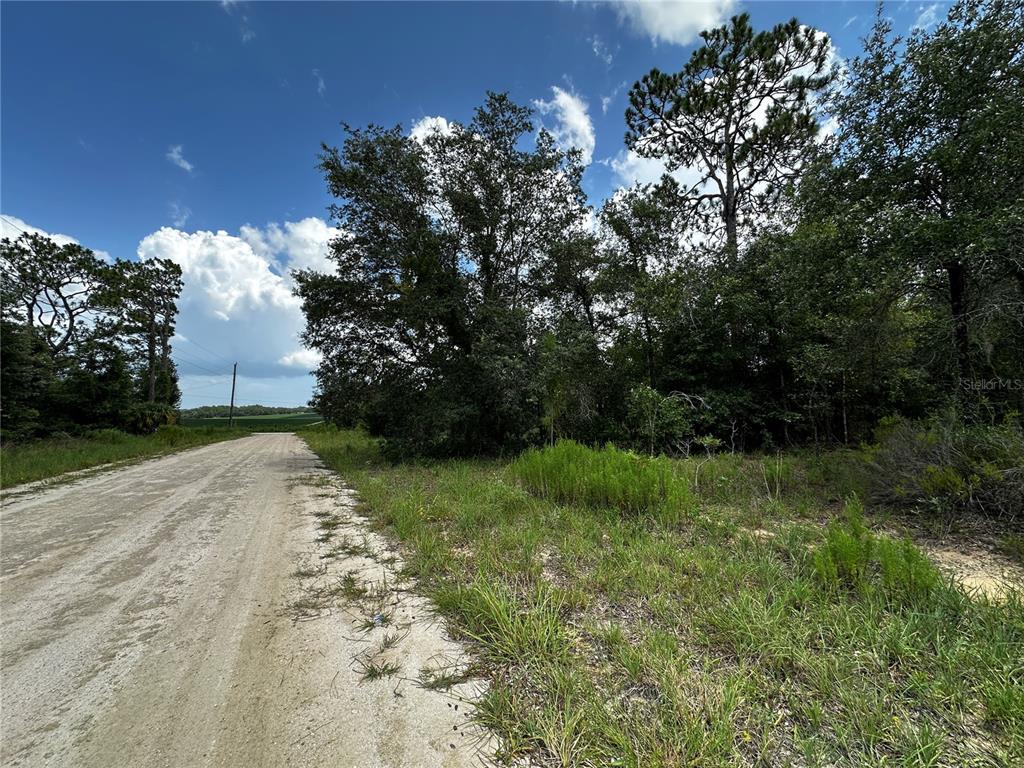 A dirt road runs alongside a wooded lot under a blue sky with clouds — 12930 NE 15TH STREET, WILLISTON, FL