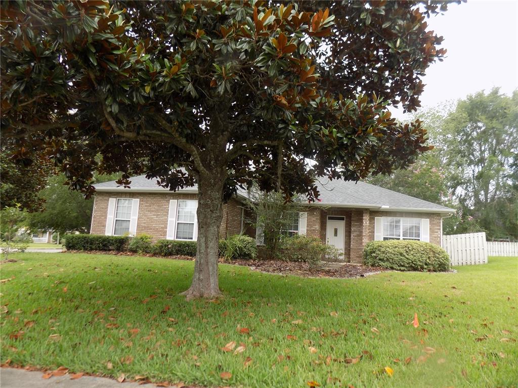 A single-story brick house with a large magnolia tree in the front yard — 11903 NW 9TH ROAD, GAINESVILLE, FL