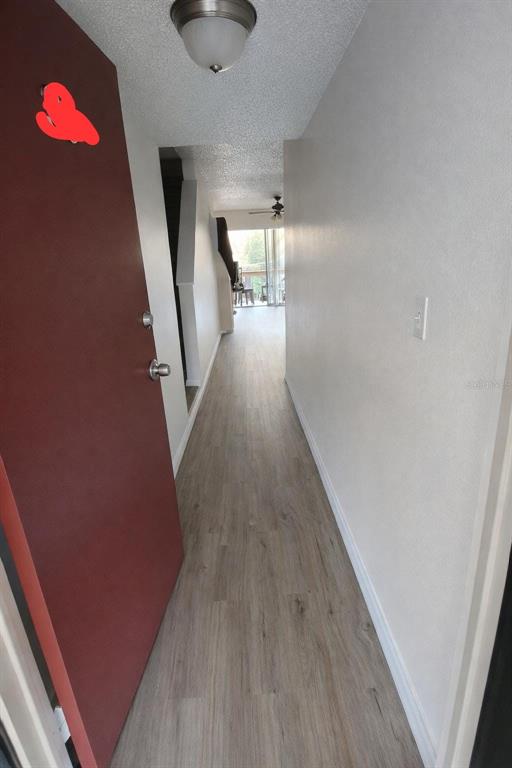 A view from an open doorway looking down a hallway with light wood-look flooring — 7516 NEEDLE LEAF PLACE UNIT 43, TAMPA, FL