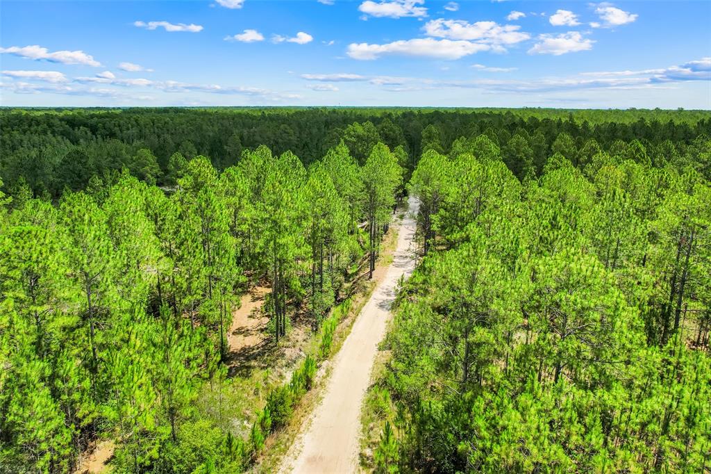 An aerial view shows a dirt road cutting through a dense pine forest — WATER ROAD, CLERMONT, FL