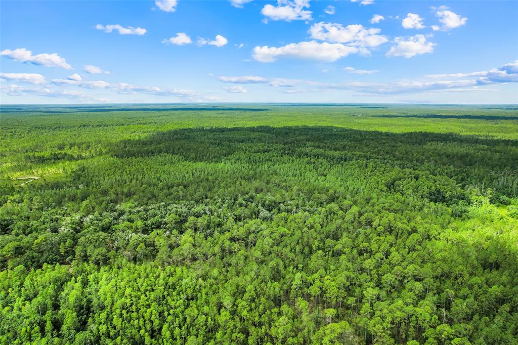 An aerial view shows a vast, dense forest under a bright blue sky with clouds — WATER ROAD, CLERMONT, FL