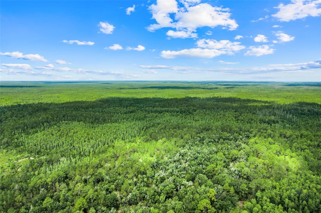 An aerial view shows a vast, dense forest under a bright blue sky with clouds — WATER ROAD, CLERMONT, FL