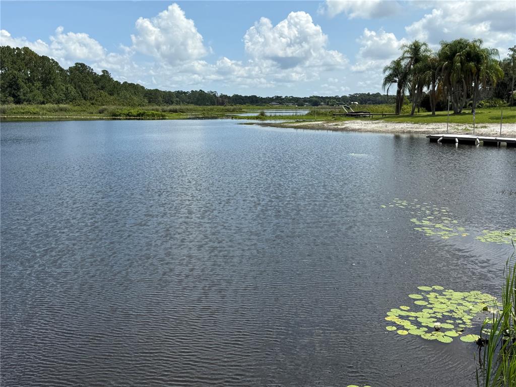 A view of a lake with a small wooden dock and palm trees on shore — 430 GEHR LANE, LAKE MARY, FL