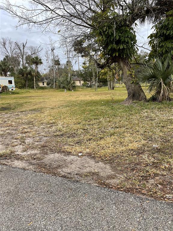 A grassy, partially wooded vacant lot viewed from an adjacent paved road — E SPRUCE STREET, DAYTONA BEACH, FL