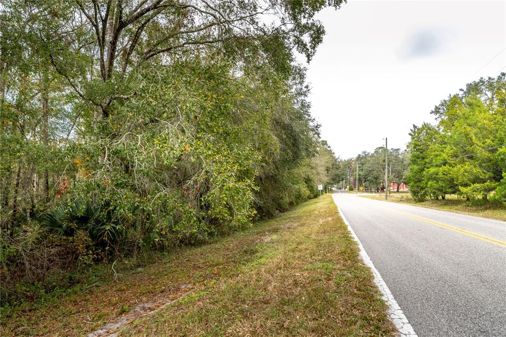 A paved road runs alongside a wooded area with dense trees and vegetation — LAKE LINDSEY TRACT 2 ROAD, BROOKSVILLE, FL
