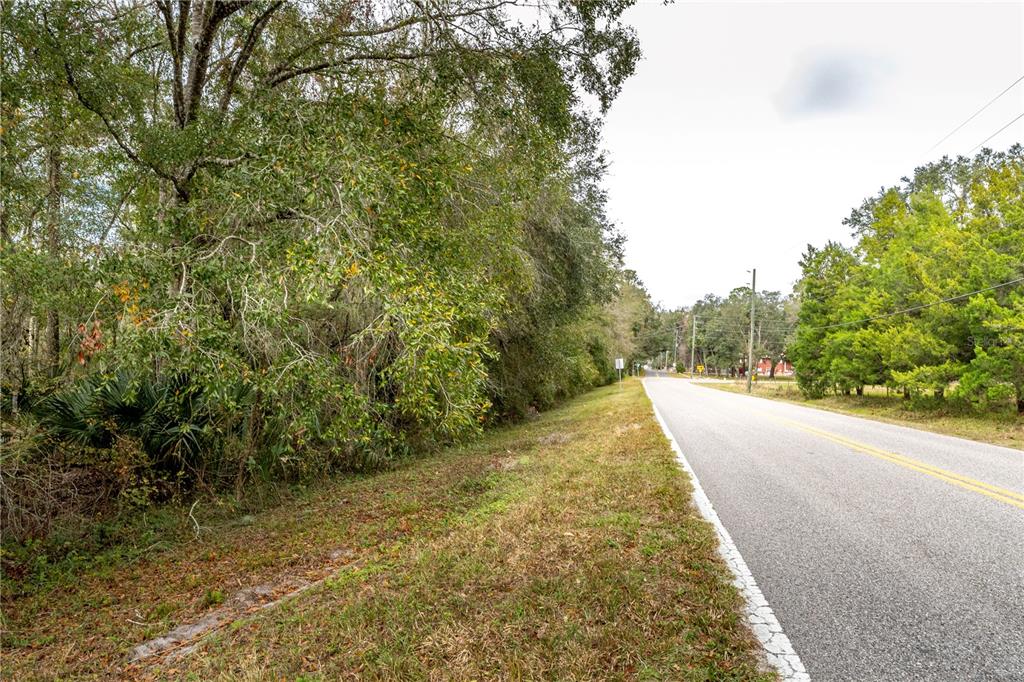 A paved road runs alongside a wooded area with trees and low-lying vegetation — LAKE LINDSEY TRACT 2 ROAD, BROOKSVILLE, FL