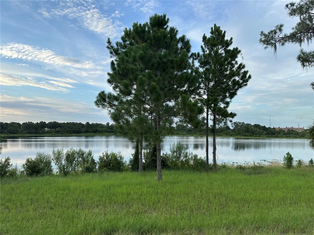 A grassy field leads to a lake framed by several tall pine trees — 2093 LAKE SIDE AVENUE, DAVENPORT, FL