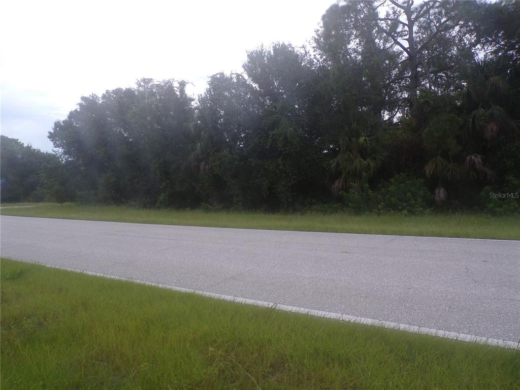 A paved road runs in front of a wooded lot with dense trees and vegetation — PONCE DE LEON BOULEVARD, NORTH PORT, FL