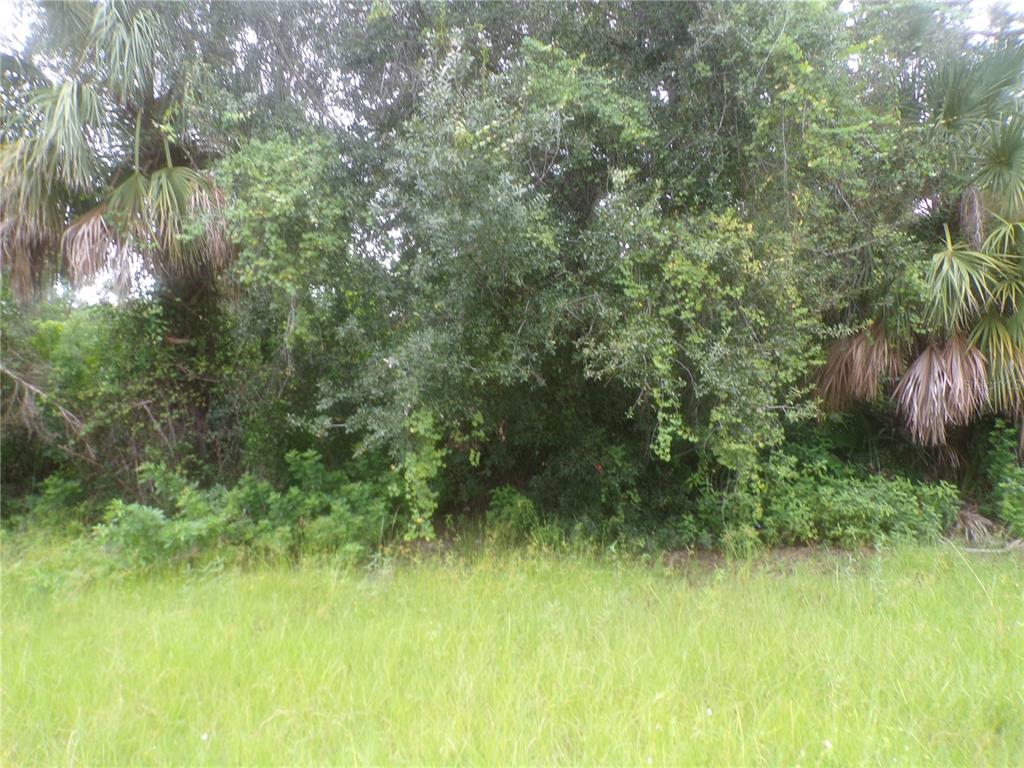 A grassy lot is bordered by dense trees and palm trees — PONCE DE LEON BOULEVARD, NORTH PORT, FL