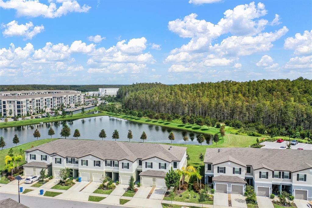 An aerial view shows two rows of townhomes facing a pond and a wooded area — 2166 GREAT SAPPHIRE LANE, LUTZ, FL