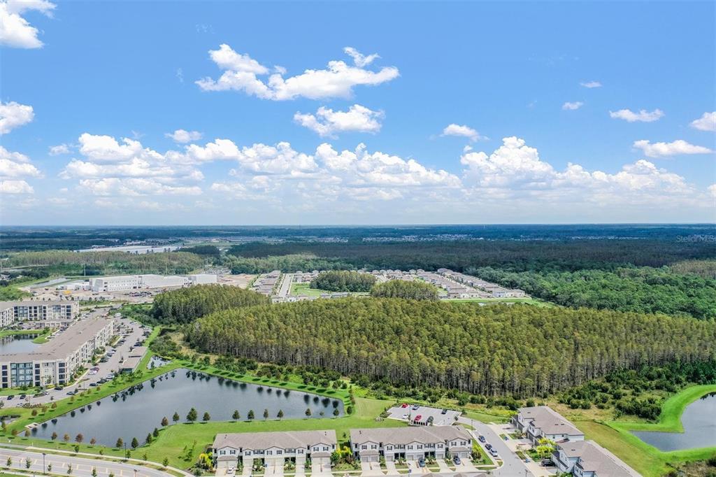 An aerial view shows a residential community with townhomes, a pond, and surrounding forest — 2166 GREAT SAPPHIRE LANE, LUTZ, FL