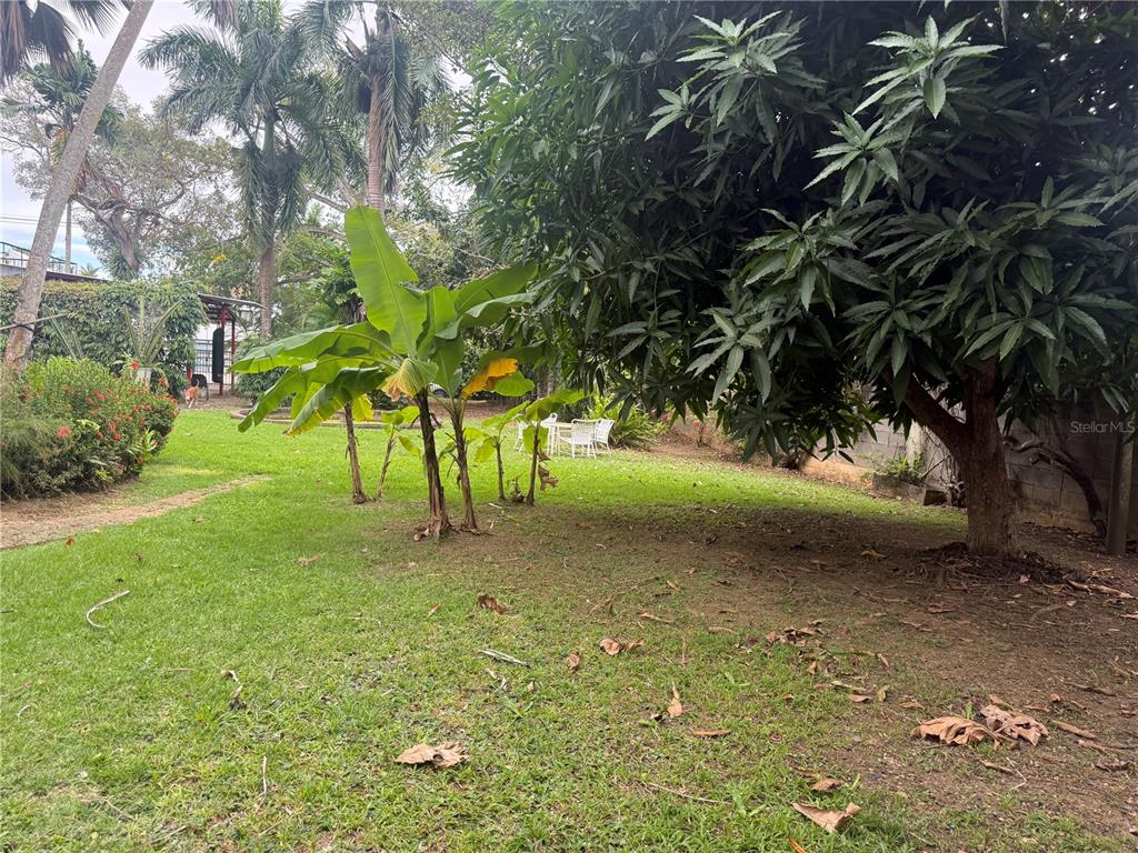 CALLE PEDROSA, GARDEN HILLS