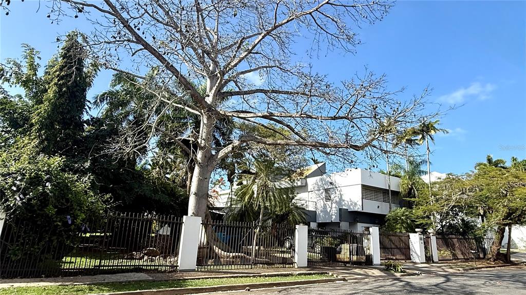 A large, bare-branched tree stands in front of a modern white house with a fence — CALLE PEDROSA, GARDEN HILLS, GUAYNABO, PR