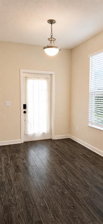 A room with dark wood-look flooring, a white door with a curtain, and a pendant light — 12156 PHILOSOPHY WAY, ORLANDO, FL